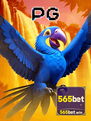 565BET bônus — cashback 15 por cento e níveis VIP