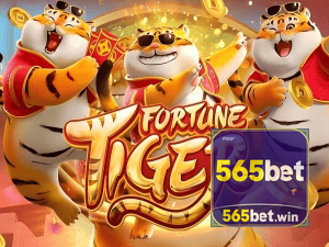 Guia install APK 565BET BR