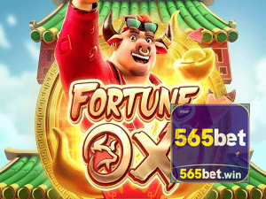 565BET login — painel de entrada no app oficial